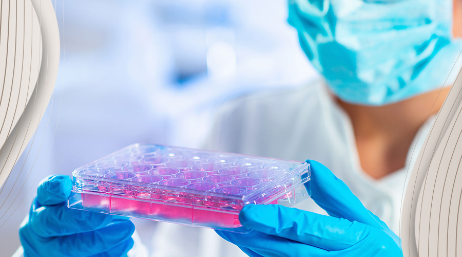 Stem cell hair treatment in Turkey